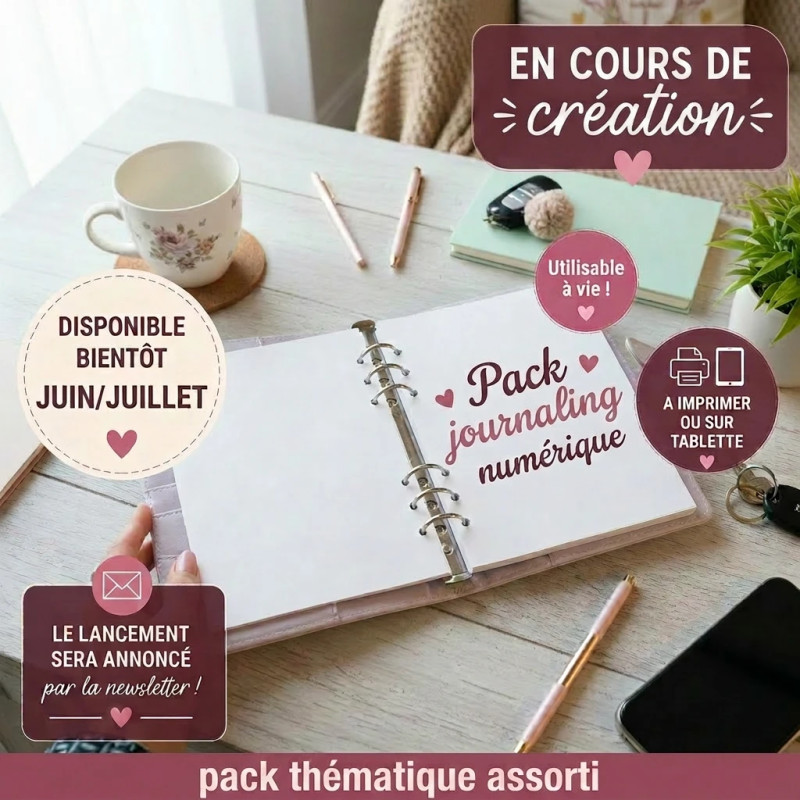 Pack journaling assorti