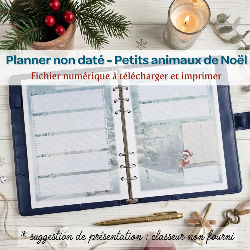 Agenda non daté animaux de Noël