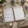 Vision boards : annuel + trimestriels + mensuels