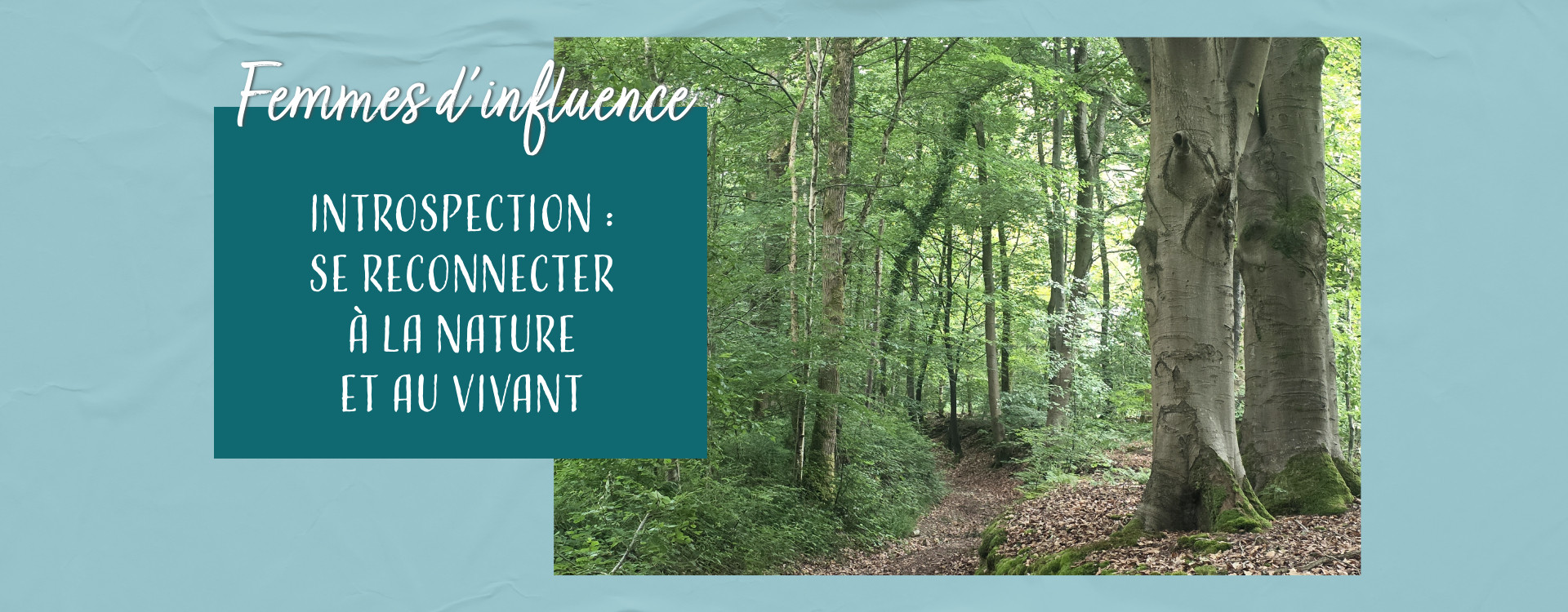 S’ancrer à la nature : 5 rituels d’écriture thérapeutique dans votre carnet de développement personnel