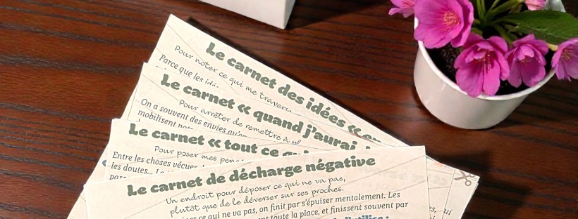 4 fiches pour 4 idées de carnets de développement personnel à commencer